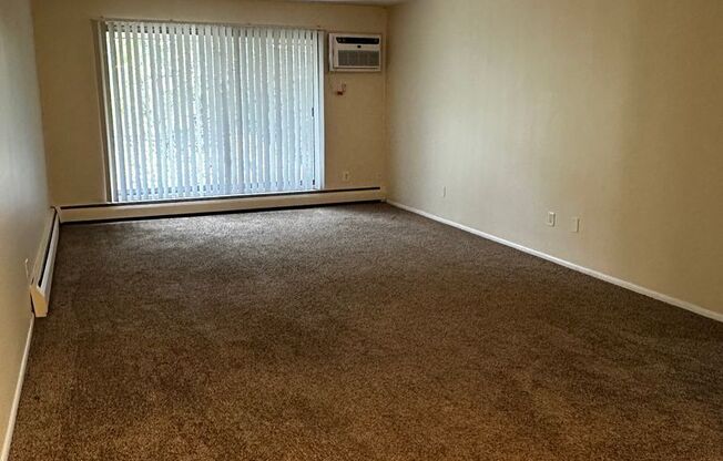 1 bed, 1 bath, 696 sqft, $1,125, Unit 4201