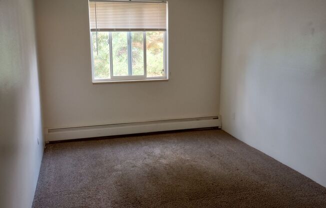 1 bed, 1 bath, $1,000