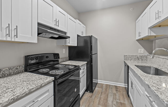 B2 (Lanier II) Premium Unit (Fully Renovated)