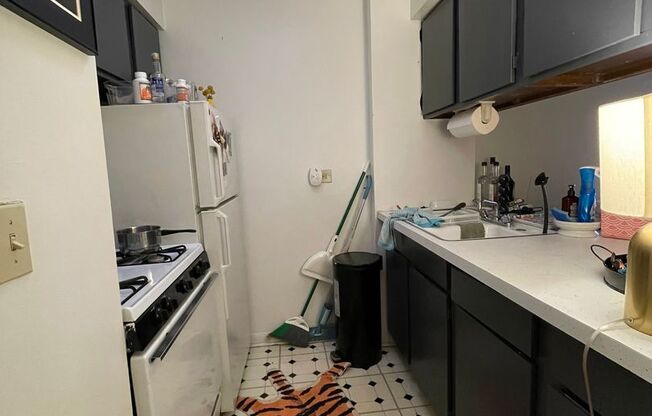 Studio, 1 bath, 390 sqft, $1,400, Unit 521-308