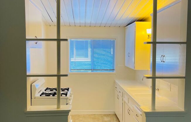 4115 Palmwood