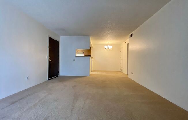 1 bed, 1 bath, $1,250