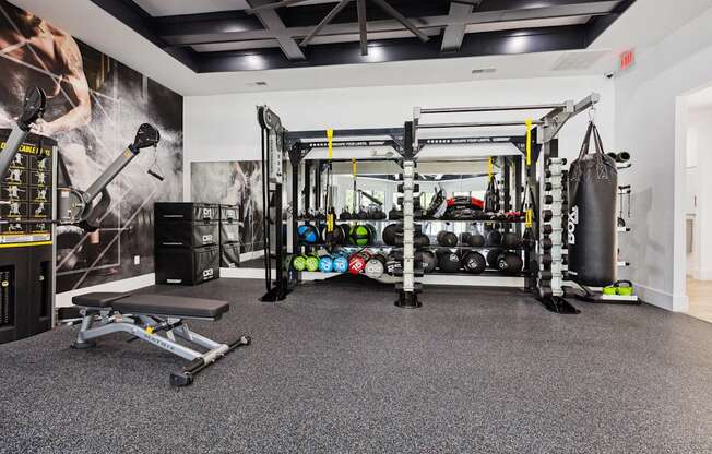 A gym with a punching bag, weights, and a bench.