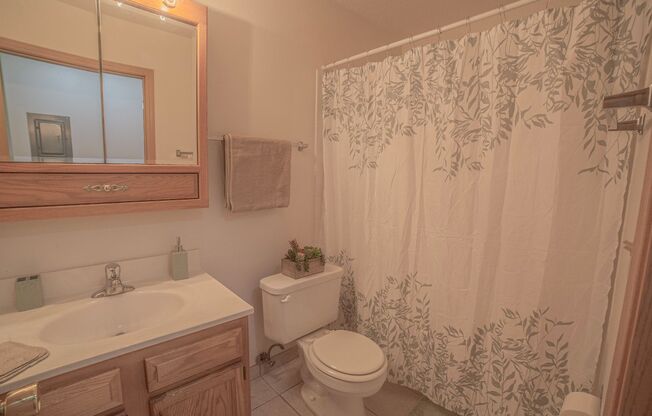 1 bed, 1 bath, 565 sqft, $650, Unit 2502-104