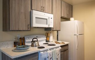 Gold Coast Apartments