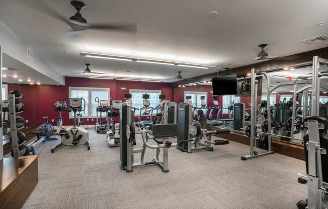 Fitness Center at Palms at Magnolia Park in Riverview, FL