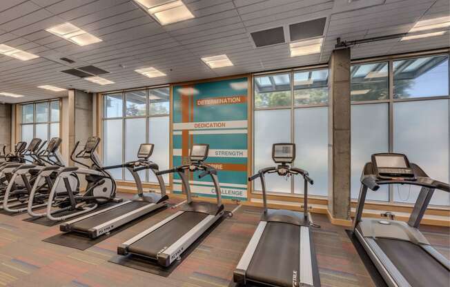 High Endurance Fitness Center at Equinox, Seattle, WA