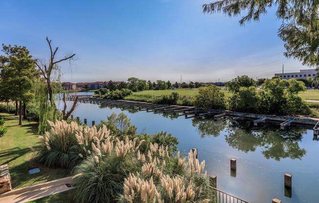 a large body of water surrounded by green bushes