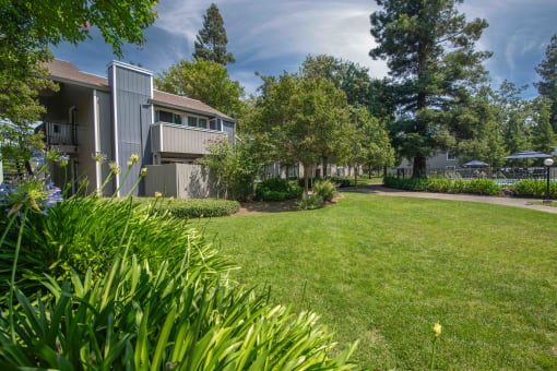 Lush green lawn in front of the apartment buildings