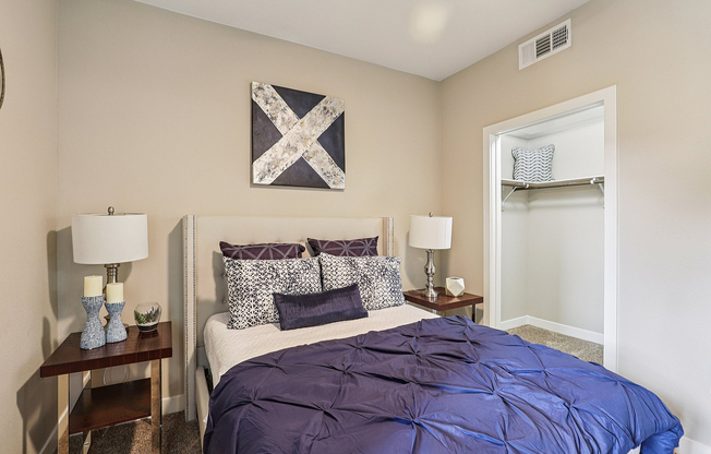 Bedroom with Walk in Closet