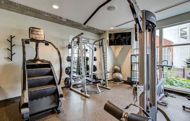 A gym with a variety of equipment including a treadmill, weights, and a television.