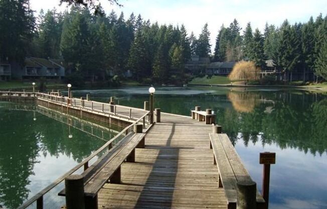 Brand New Remodeled Studio in Heart of Redmond