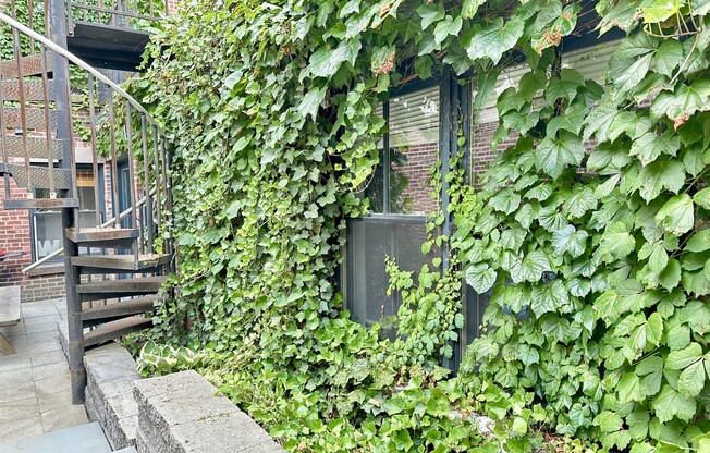 2 beds, 1 bath, $3,900, Unit 1B