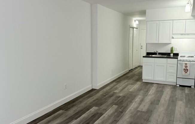 Studio, 1 bath, 310 sqft, $1,049, Unit 608A