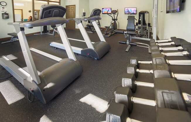 The Palms of Clearwater Apartments Fitness Center