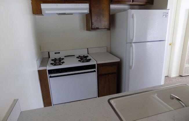 0136  3175 Camellia Court