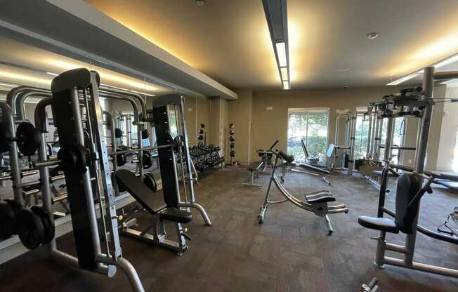 a gym with weights and cardio equipment on the floor and a window