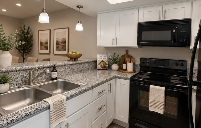 Studio, 1 bath, 446 sqft, $1,950, Unit 100