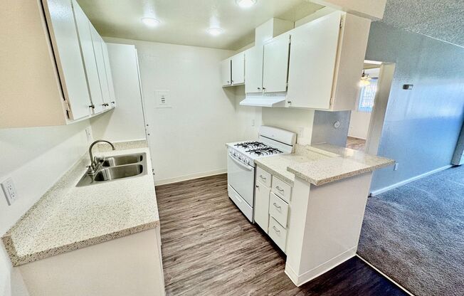 1 bed, 1 bath, 700 sqft, $2,000, Unit 440