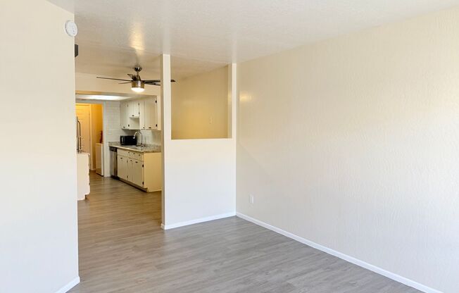 113 Palms
