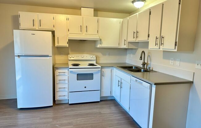 1 bed, 1 bath, 750 sqft, $1,345, Unit A11