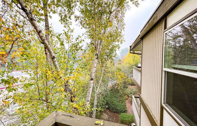 1 bed, 1 bath, 528 sqft, $1,475, Unit 402