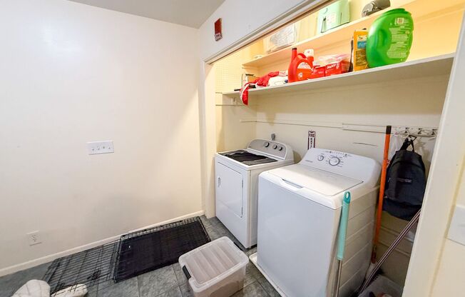 Large 9 Bedroom House In Walking Distance to Sorority Row