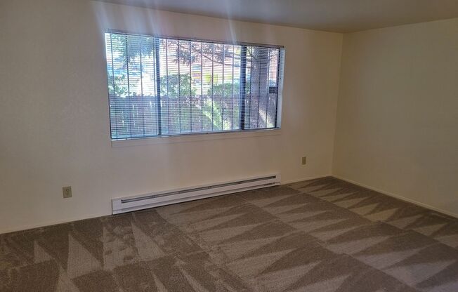 Studio, 1 bath, 450 sqft, $1,225, Unit 310