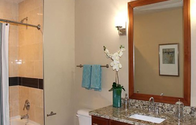 Granite Countertops in Bathrooms at Residences At 1717, Cleveland, OH, 44114