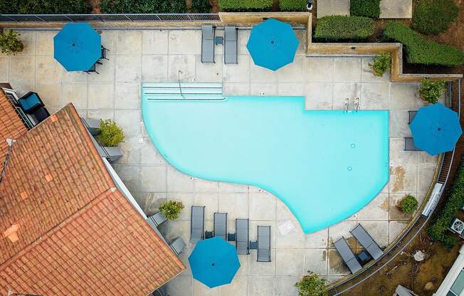 Overview of the pool and lounge area