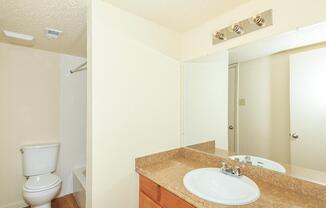 a double sink and large mirror