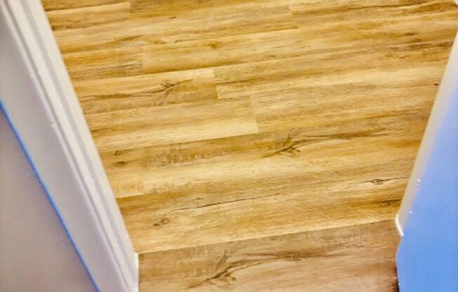 1 bed, 1 bath, 565 sqft, $999, Unit 148