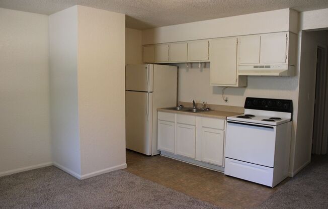 1 bed, 1 bath, $525, Unit Eleventh 728 W. #D