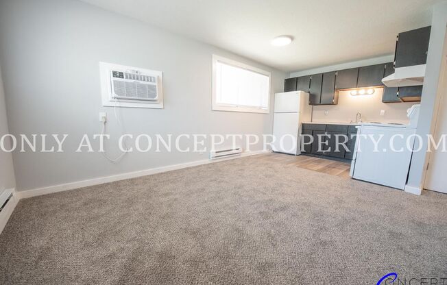 1 bed, 1 bath, 480 sqft, $920, Unit 164