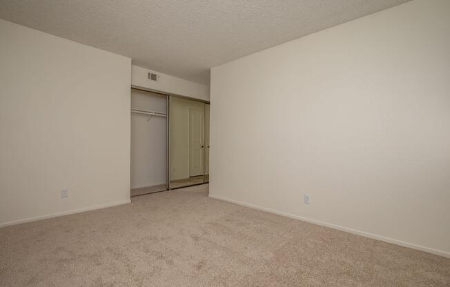 MIRRORED CLOSET DOORS