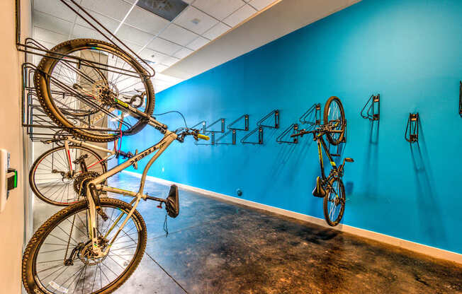 A room with a blue wall and a bicycle hanging on the wall at Highland Row Apartments, Tennessee, 38111