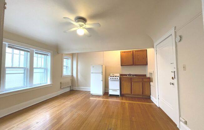 Studio, 1 bath, $775, Unit 203
