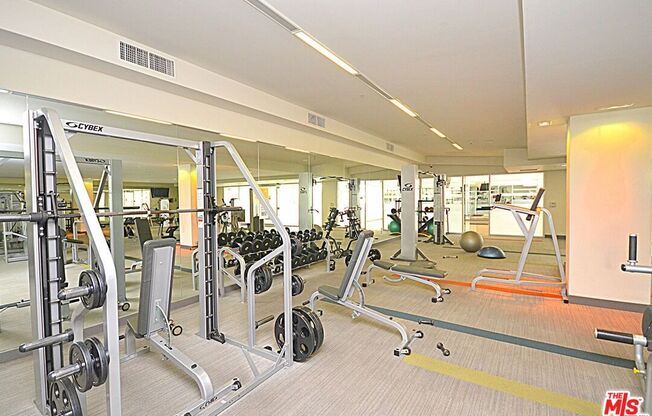 1 bed, 1 bath, 830 sqft, $2,700, Unit 318