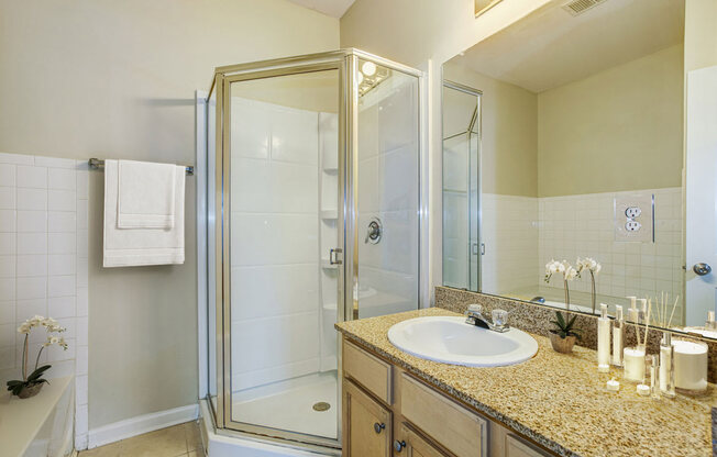 a bathroom with a sink and a shower