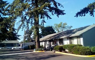 #178 WILLAMETTE GREEN