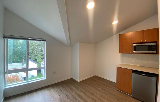 Studio, 1 bath, 175 sqft, $1,295, Unit 4501