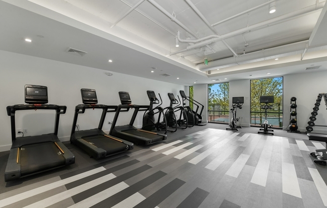1 bed, 1 bath, 776 sqft, $3,700, Unit 315