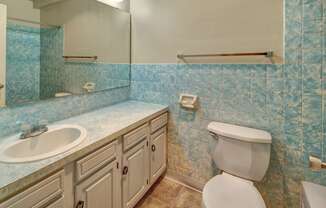 Castle Bathroom