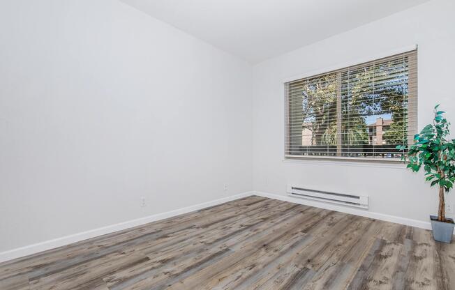 A bright and empty room featuring light wooden laminate flooring, white walls, and a large window with horizontal blinds. A small potted plant is placed in the corner, providing a touch of greenery. The window offers a view of trees outside.
