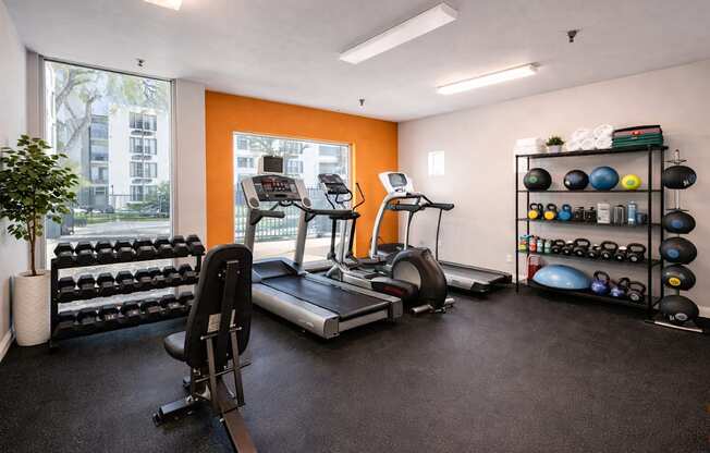 Welcome to The 211 Apartments