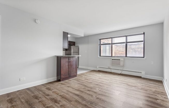 Studio, 1 bath, 336 sqft, $1,550, Unit 504