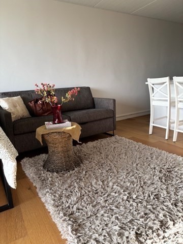 Studio, 1 bath, 394 sqft, $1,650, Unit 502