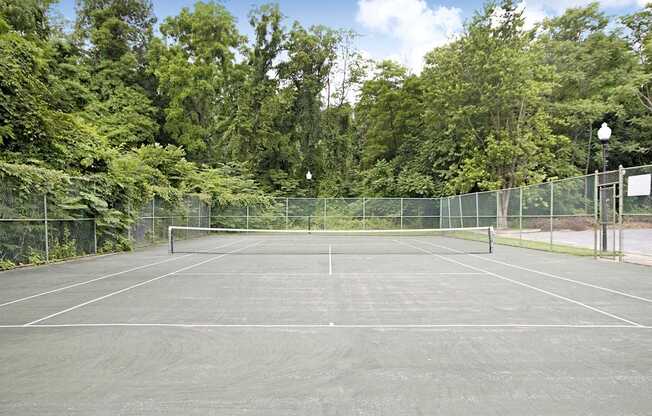 A tennis court surrounded by a fence and trees.