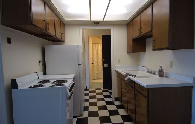 1 bed, 1 bath, 620 sqft, $1,090, Unit 507