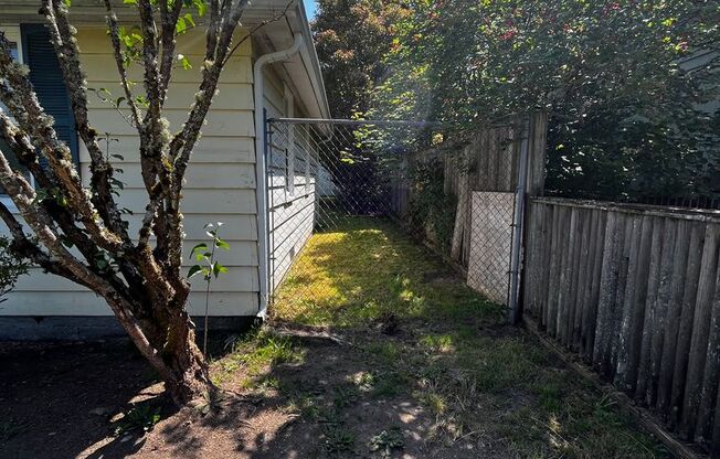 Fully Renovated 2 BD and 1 BA w/ detached garage House on a big lot in SeaTac!